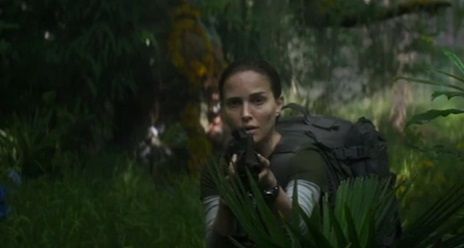 Annihilation
