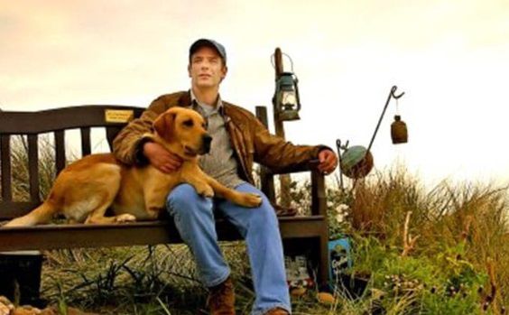 ROBSON GREEN BIOGRAPHIE CINEREVES