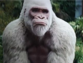 RAMPAGE