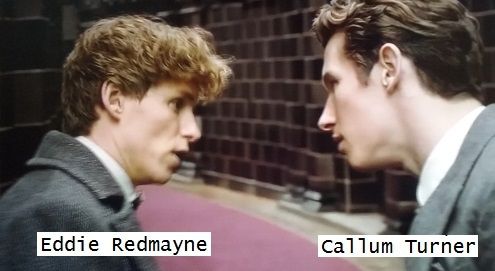 LES ANIMAUX FANTASTIQUES: LES CRIMES DE GRINDELWALD