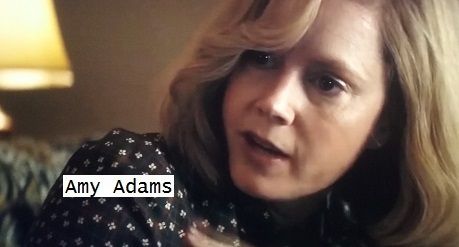 VICE AMY ADAMS