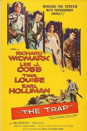 the-trap-dans-la-souricière-le-bon-coin-film-anciens