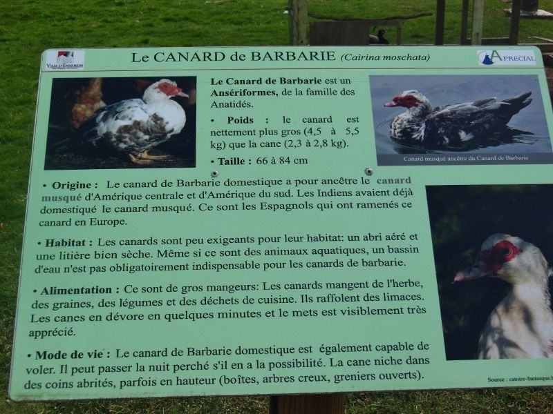 Parc de l'Eiblen 1 - Ensisheim (68)