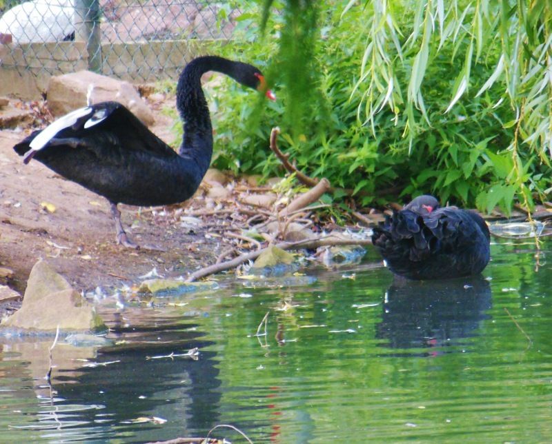 Parc de l'Eiblen 1 - Ensisheim (68)