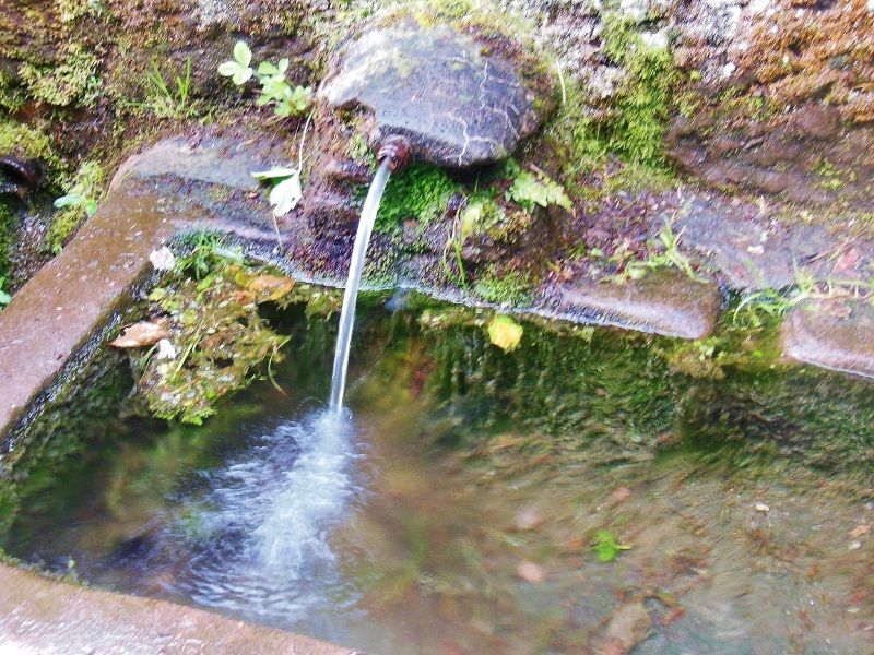 Le Mont Sainte Odile - Ottrott - 67