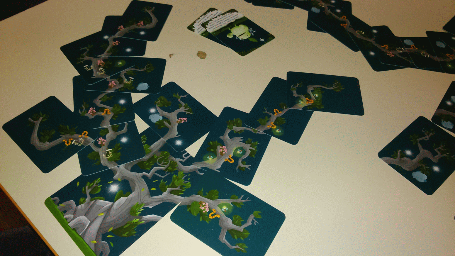 La soirée du 5 Novembre