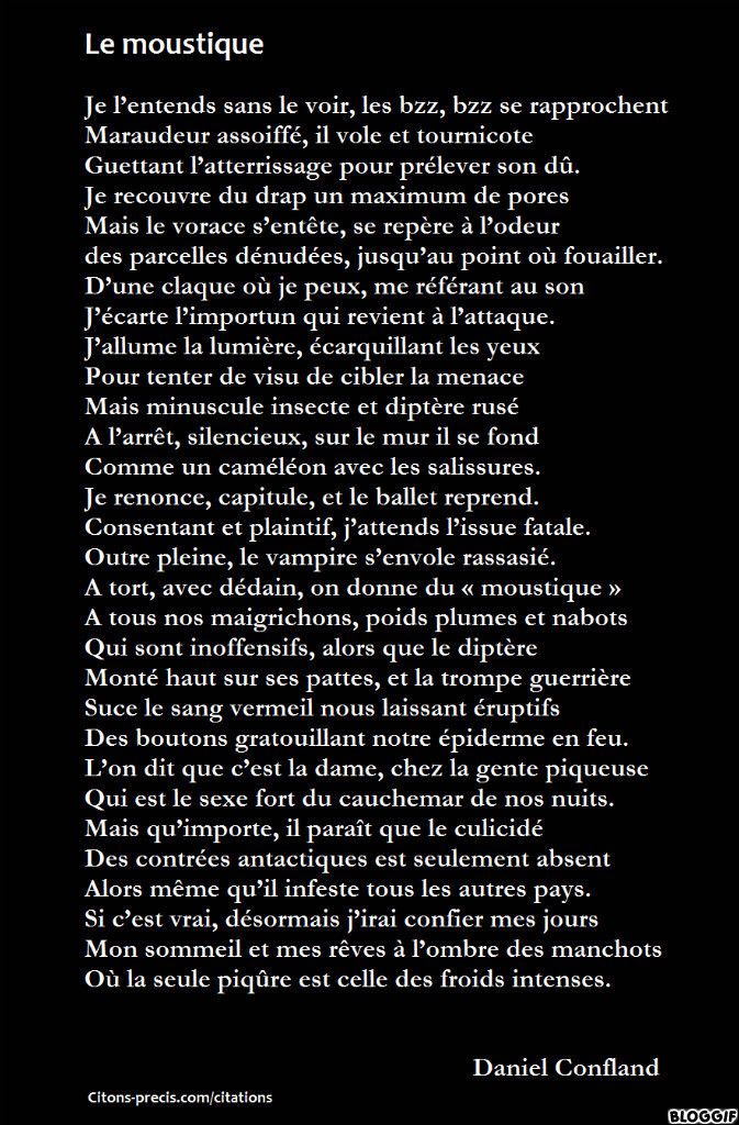 Le moustique, pensée poétique, par Daniel Confland