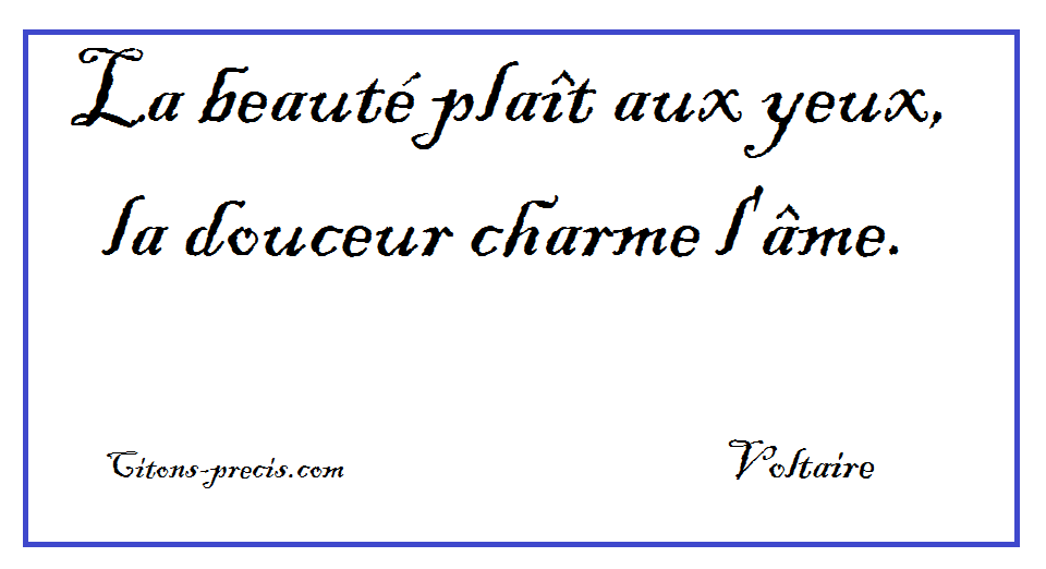 Voltaire En 30 Citations Citons Precis Com Citations