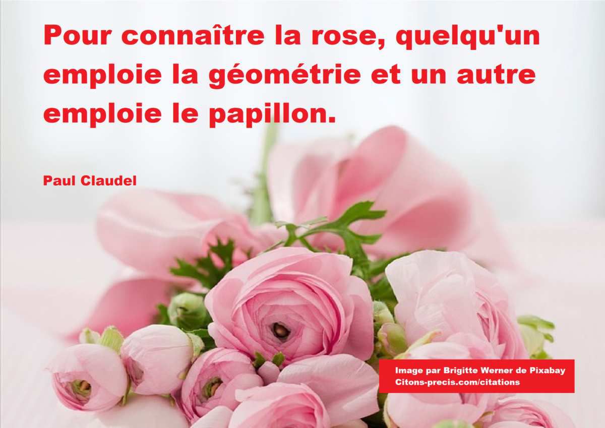 Nouveaux Poemes Nouvelles Citations Sur Les Roses En Leur Parfum Suite De L Article De Mai 17 Citons Precis Com Citations