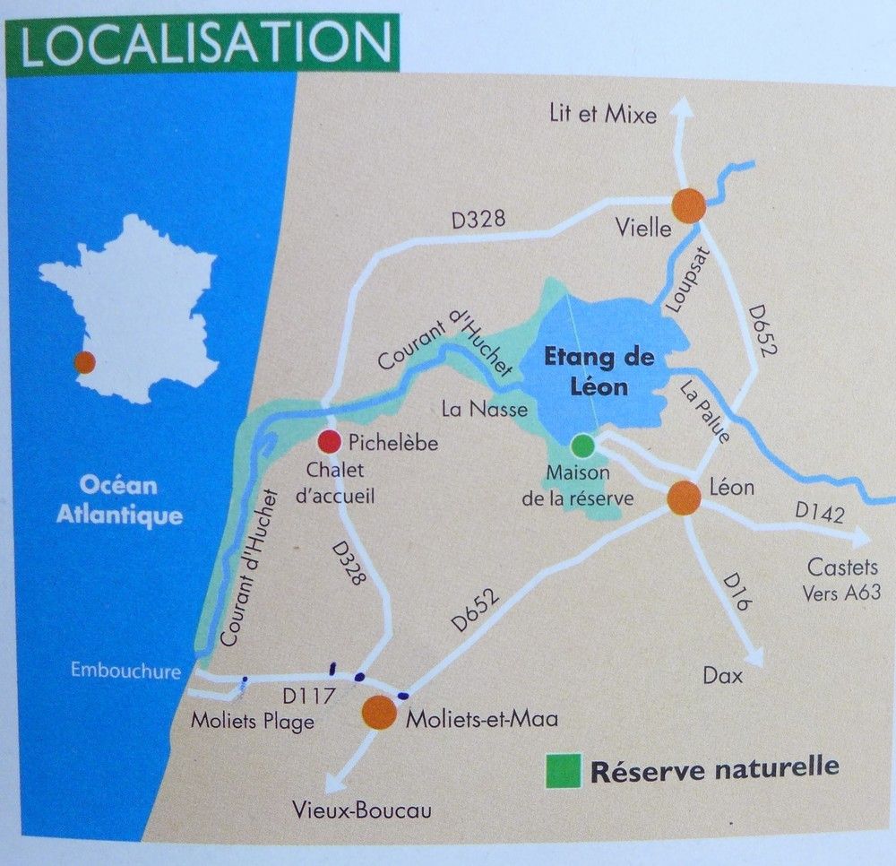 La réserve naturelle du Courant d'Huchet dans les Landes... - Une bonne ...