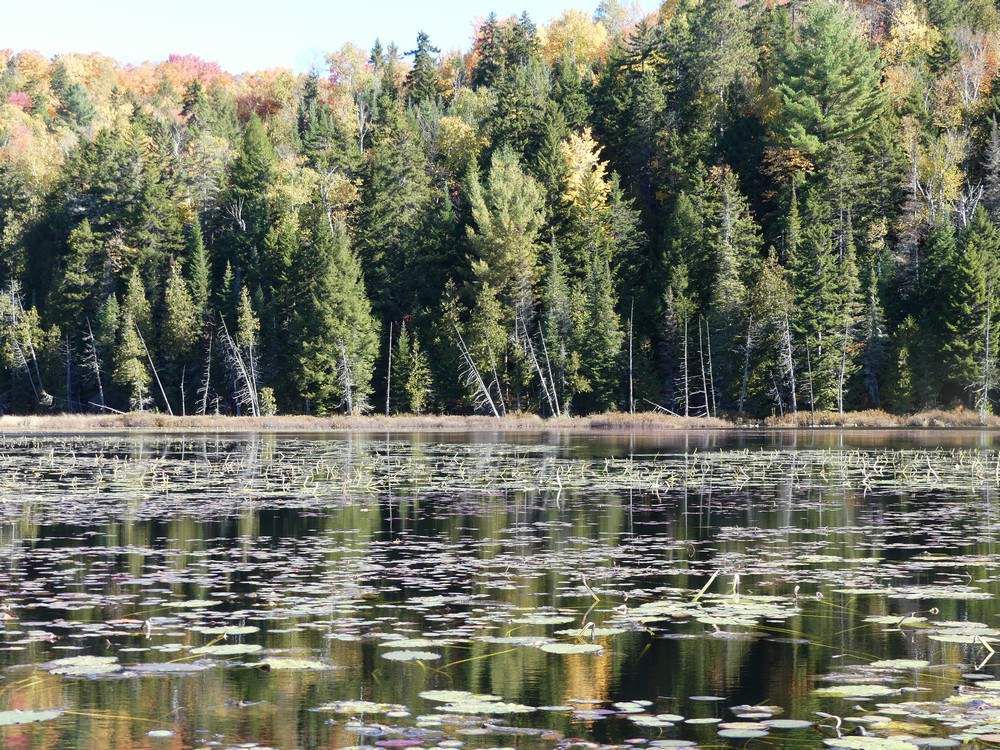 Rabaska à la pourvoirie du Lac Blanc au Canada...