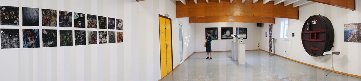 vue d'ensemble de l'exposition avec en premier plan les oeuvres de thierry Azam