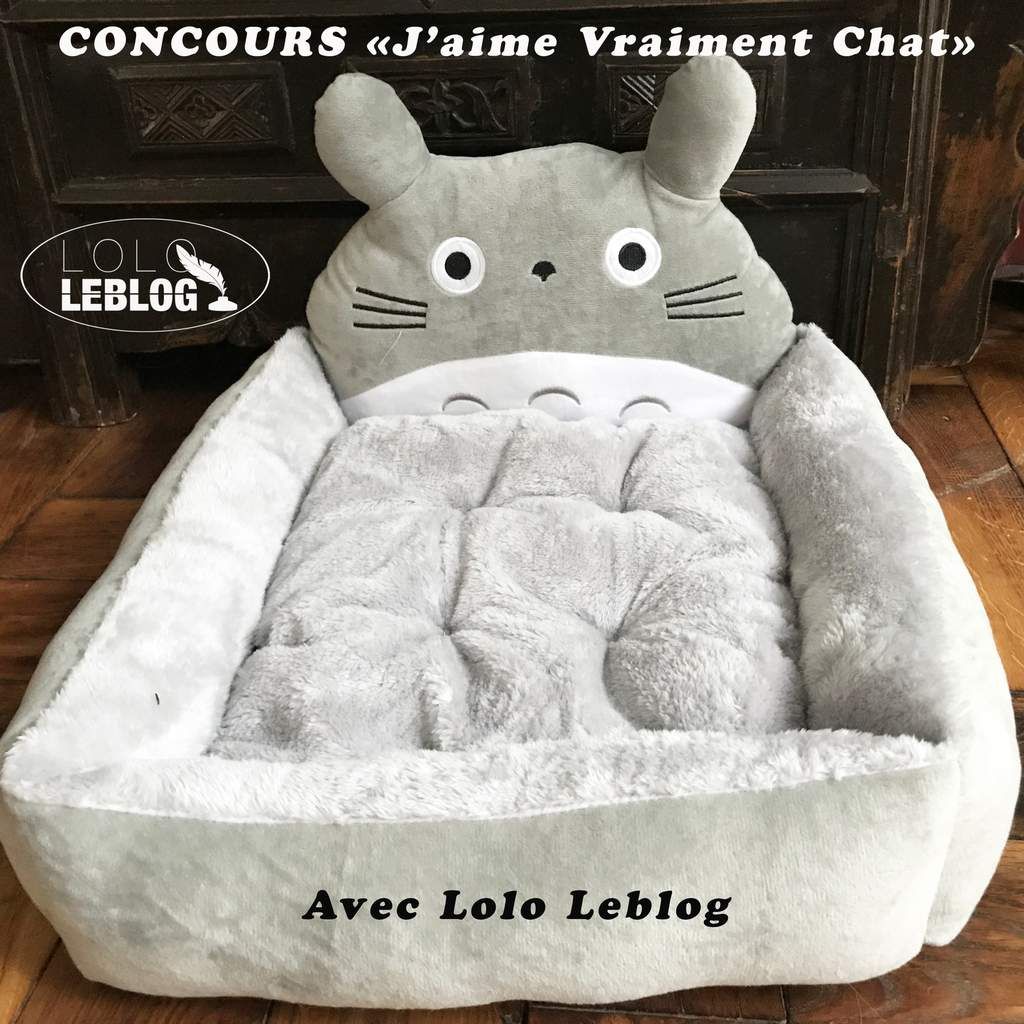 Concours J Aime Vraiment Chat Lolo Leblog