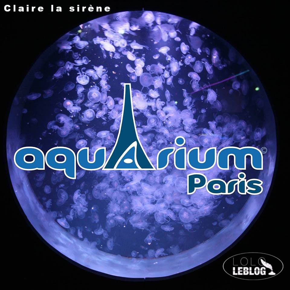 Claire la sirène à L’Aquarium de Paris