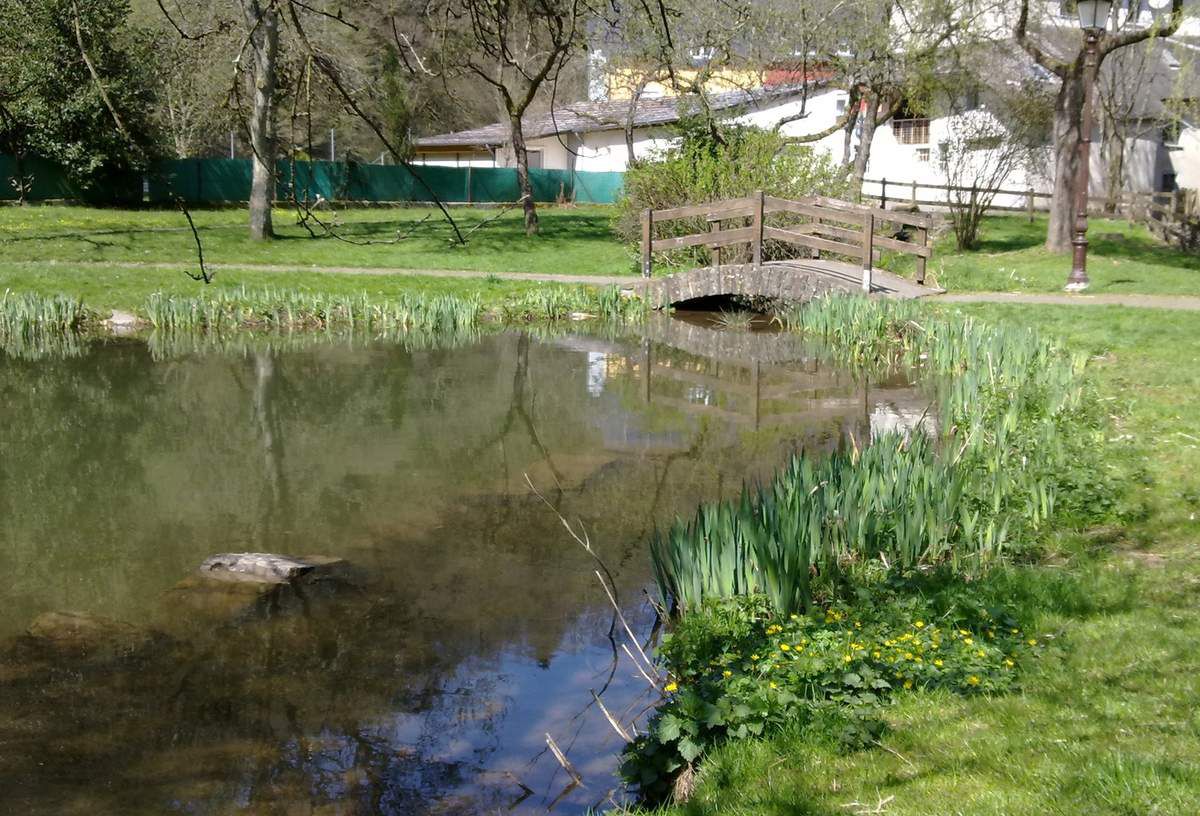 Teich im Park 