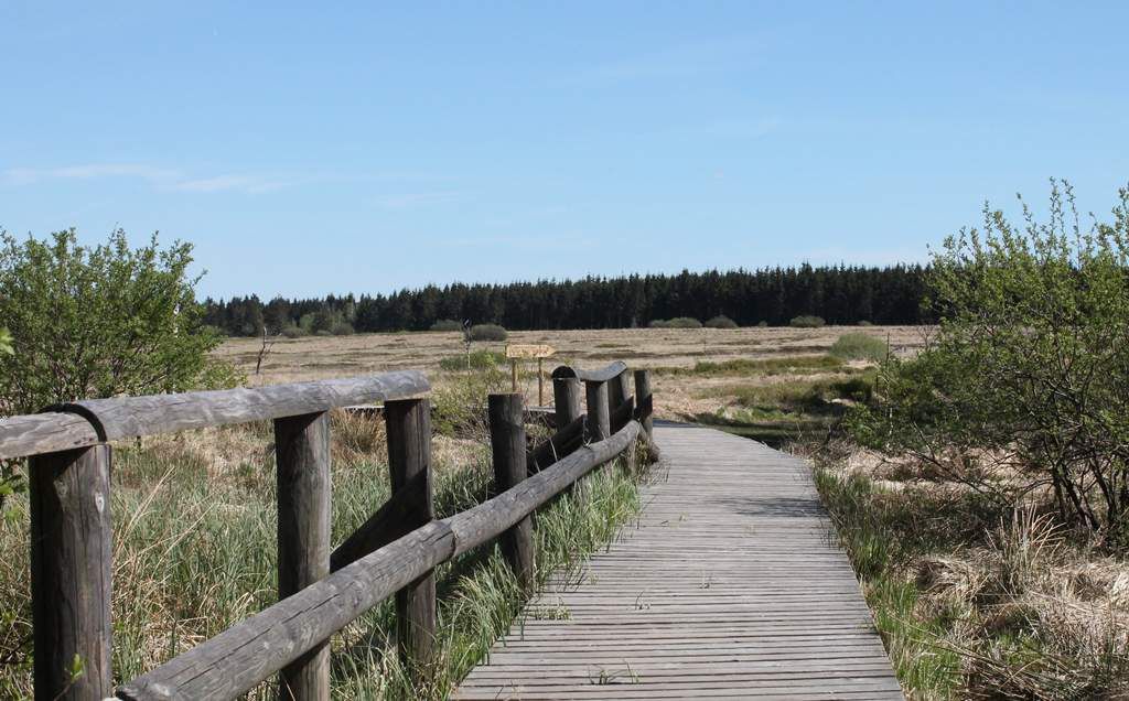 Moorlandschaft Belgien