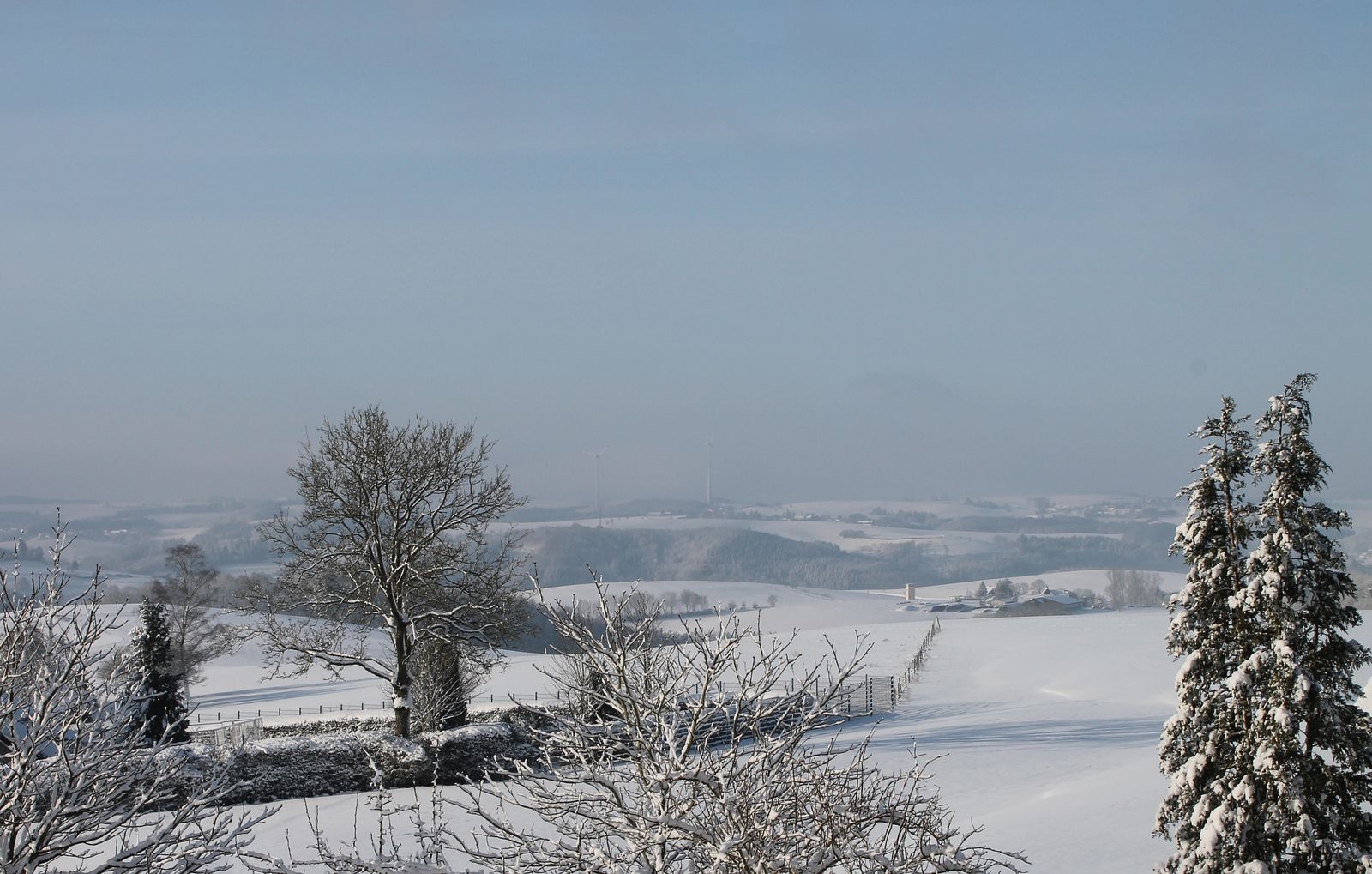 Winter Eifel Schnee Landschaft