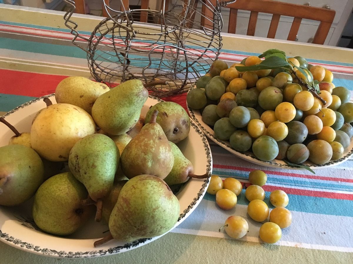 Petits bonheurs # 6 Retour sur les petits bonheurs de fin d'été 