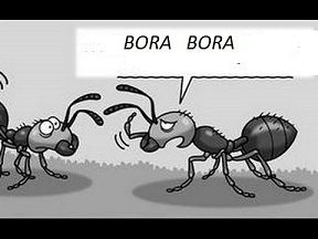 19/06/2017: Histoire pour petits/ Au Pays des gens bizarres..... (pour Paul)