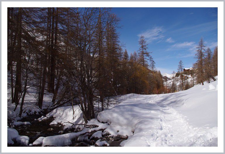 Nature, neige dans le plus haut village d'Europe :  Saint Véran (2040m) Queyras