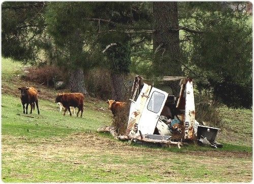 CHAMPS POPULAIRES (5ème couplet)