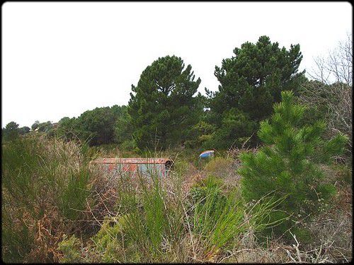 CHAMPS POPULAIRES (5ème couplet)