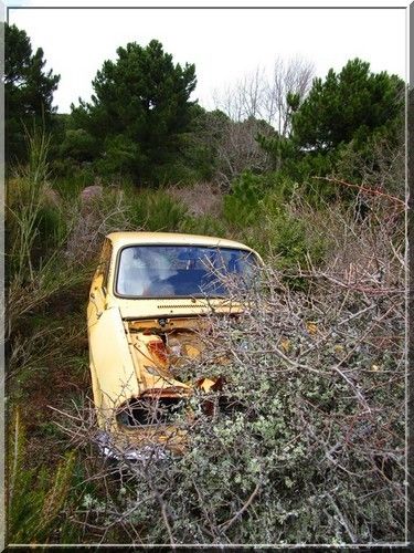 CHAMPS POPULAIRES (5ème couplet)