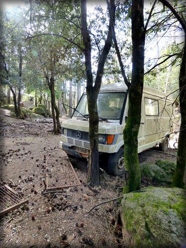 CHAMPS POPULAIRES (5ème couplet)