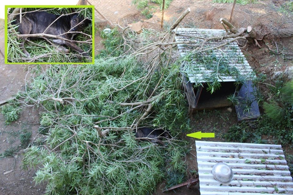 PicNic, sieste broussarde