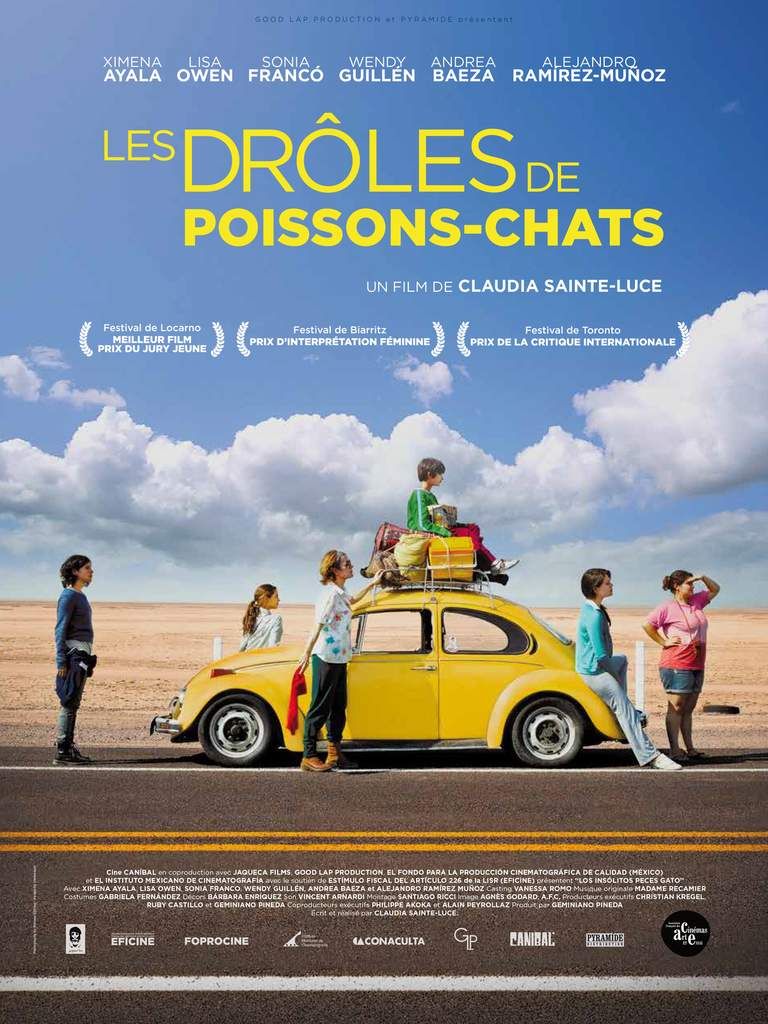 Les drôles de poissons-chats "Los insólitos peces gato"