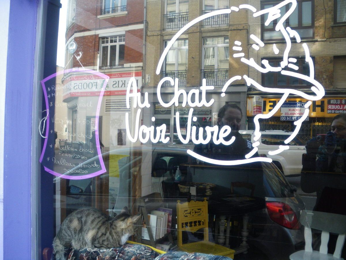 L Ille Etait Une Fois Queuesdecerises