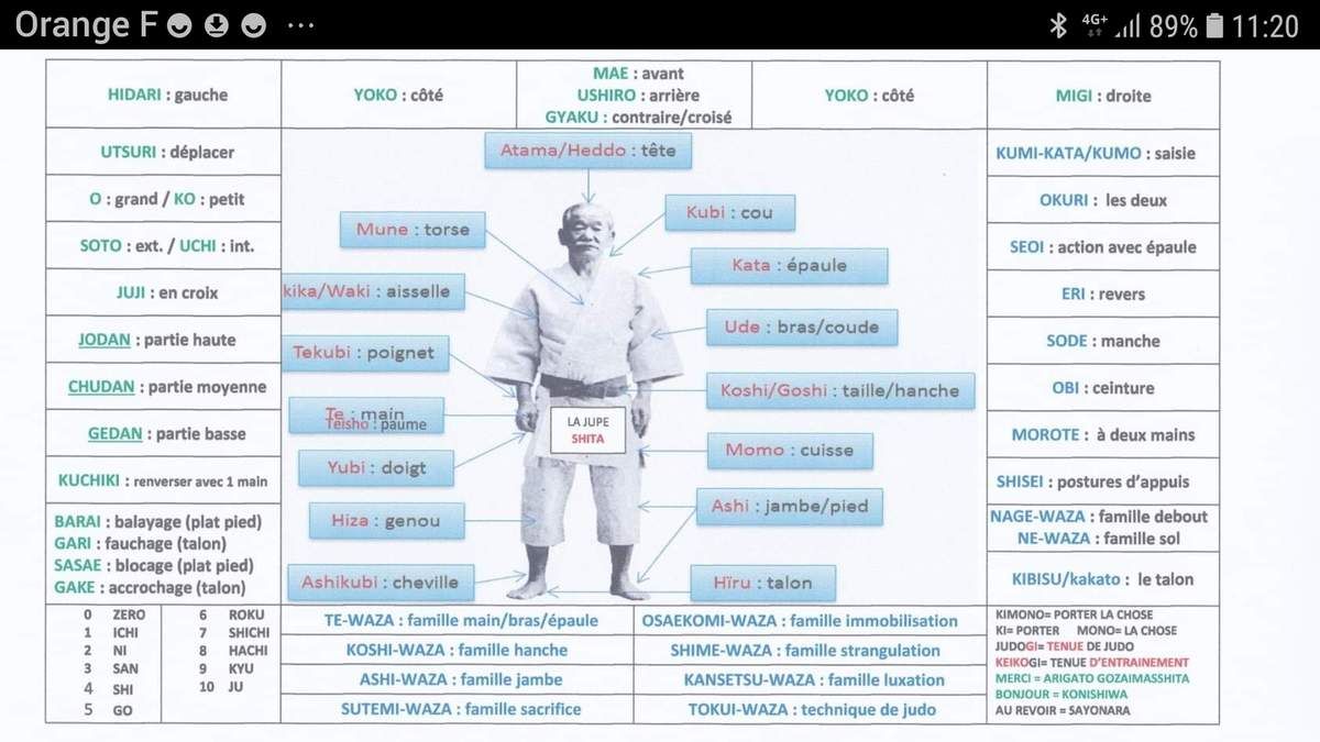 Nomenclature des prises de judo