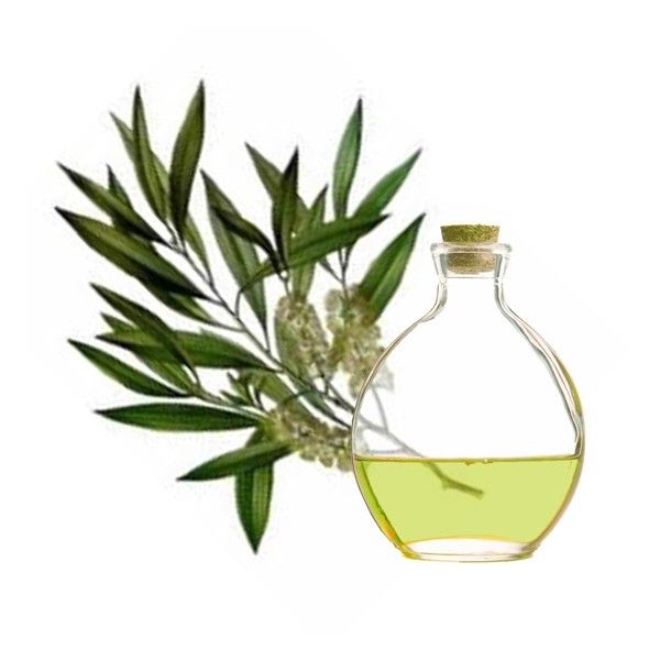 aceite de arbol de te infecciones aceite de arbol de te infecciones
