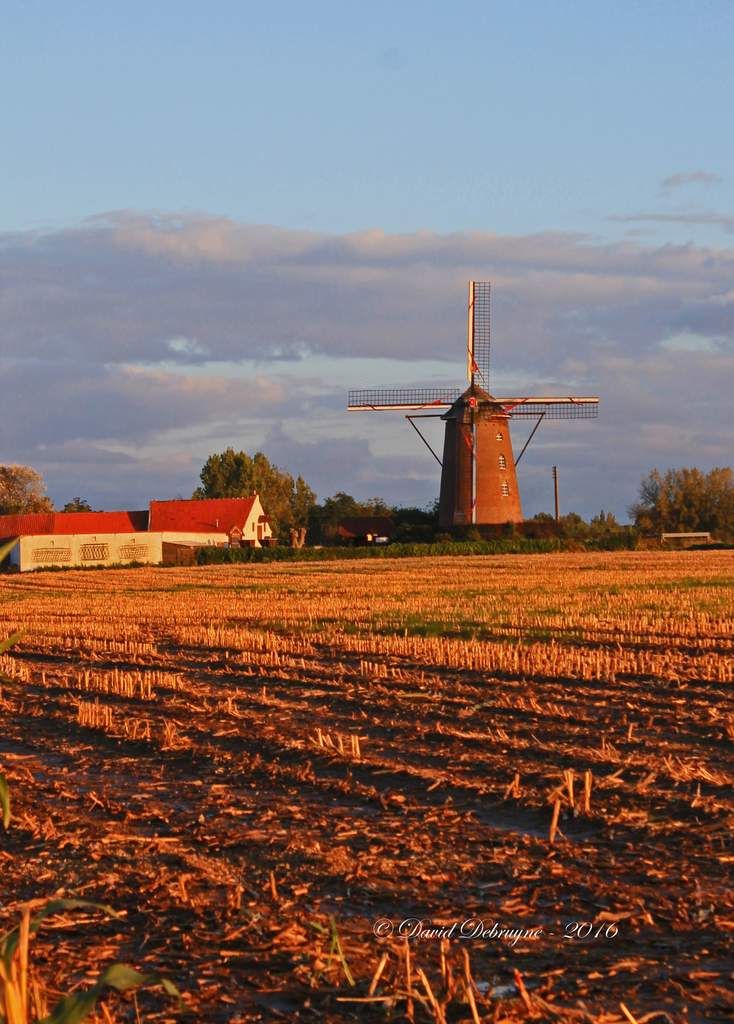 le Steenmeulen le moulin de pierre au cœur de la Flandre - David ...