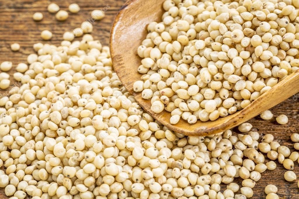 chicchi di sorgo ccricette senza glutine chicca di sorgo