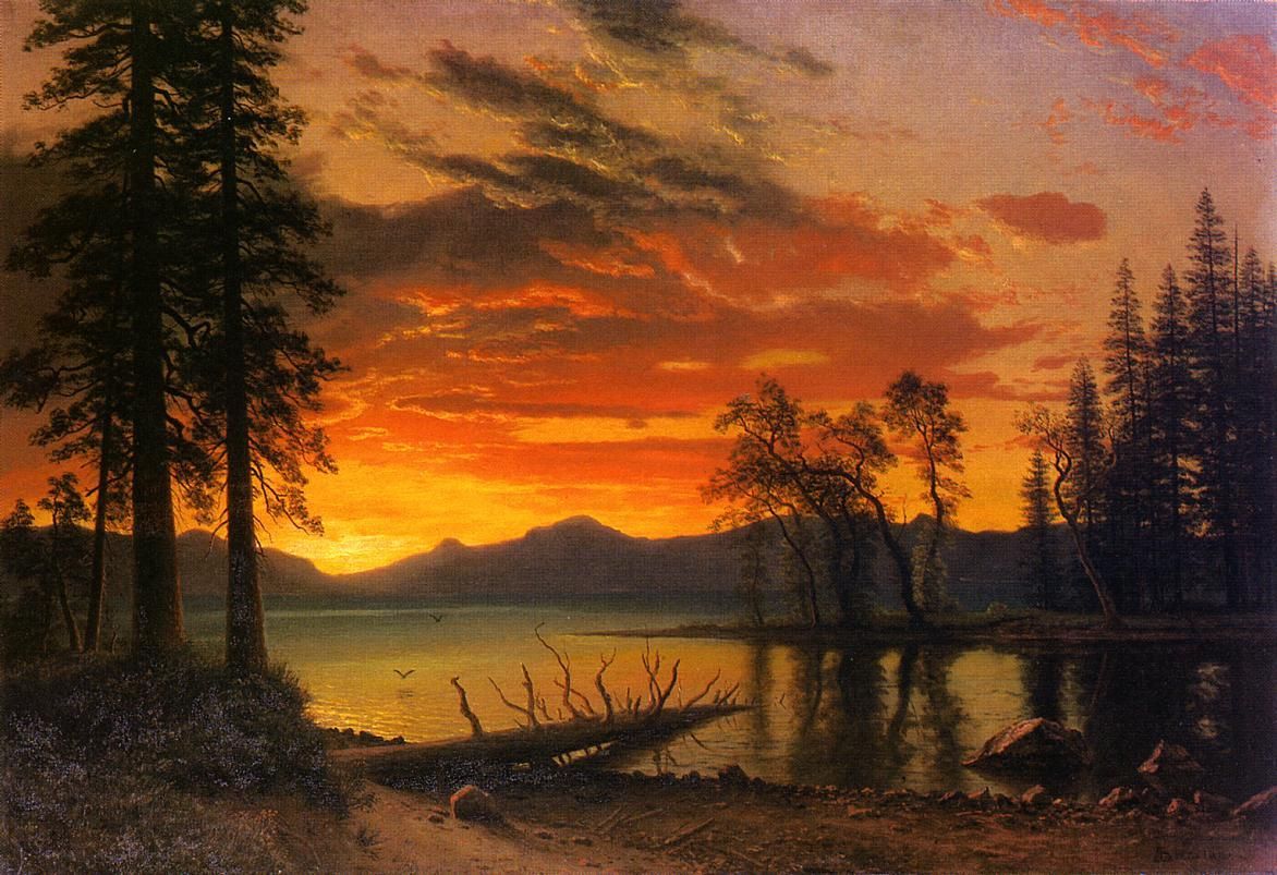Al tramonto la Natura offre delle sensazioni meravigliosamente suggestive non senza bellezza sebbene forse il suo utilizzo principale sia quello di