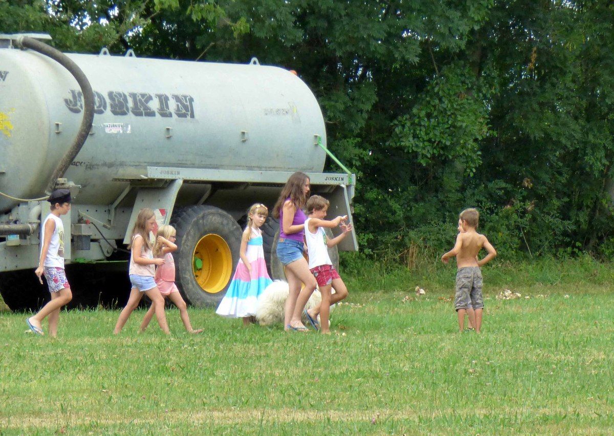 Grand succès pour les sangliers des chasseurs d'Arbigny.