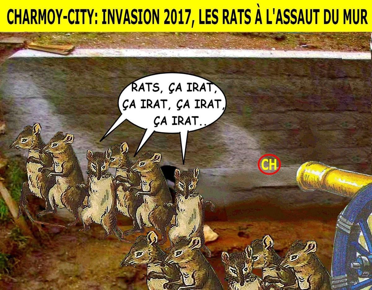 Charmoy-City Invasion 2017, les rats à l'assaut du mur