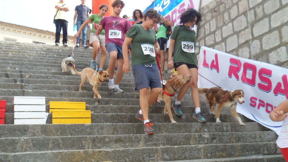 Circuito Ecotrail Sicilia 2015. Con l'Ecotrail di Monte Pellegrino, 3^ prova del circuito, riparte il Vilardo Doggy Trail