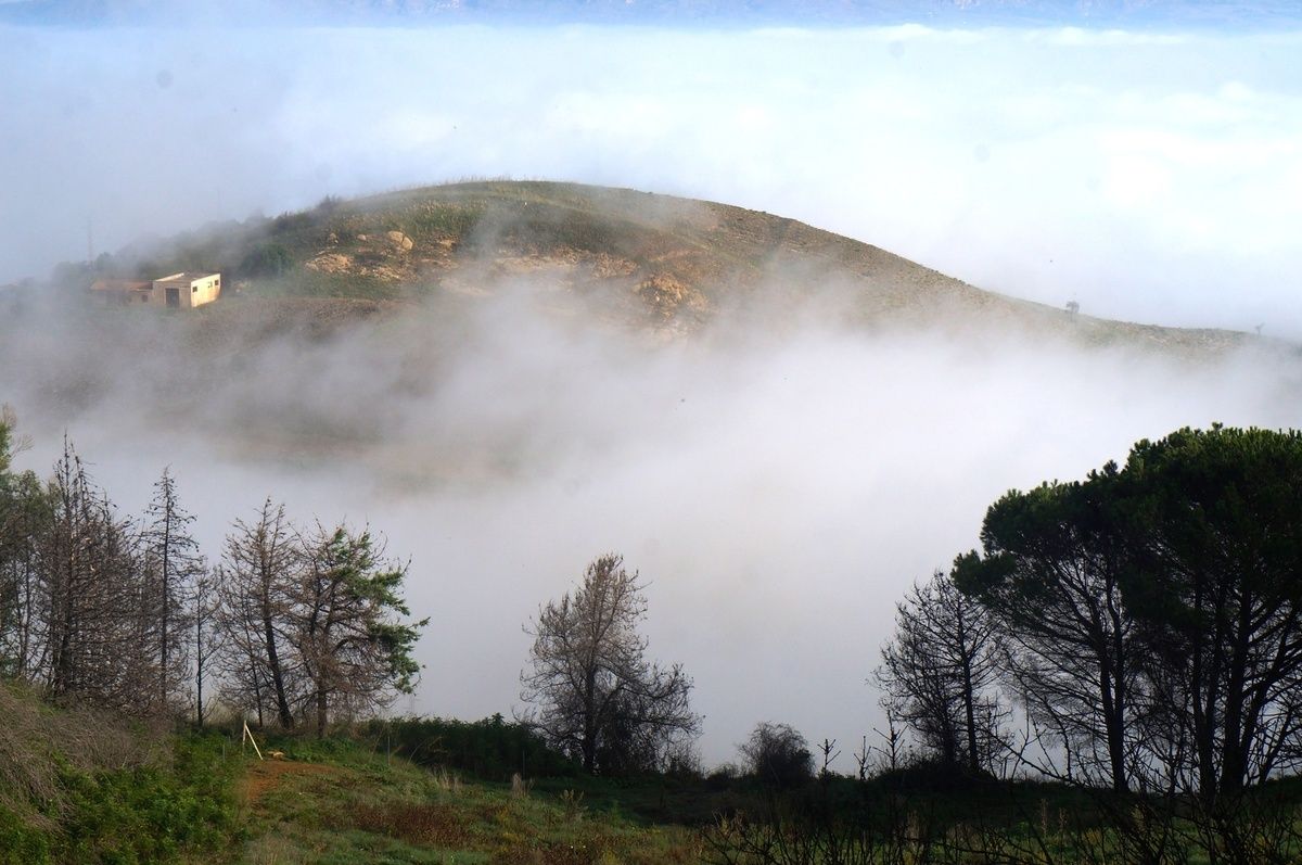 Camporeale, fine ottobre: la nebbia agli irti colli... (Foto di Maurizio Crispi)