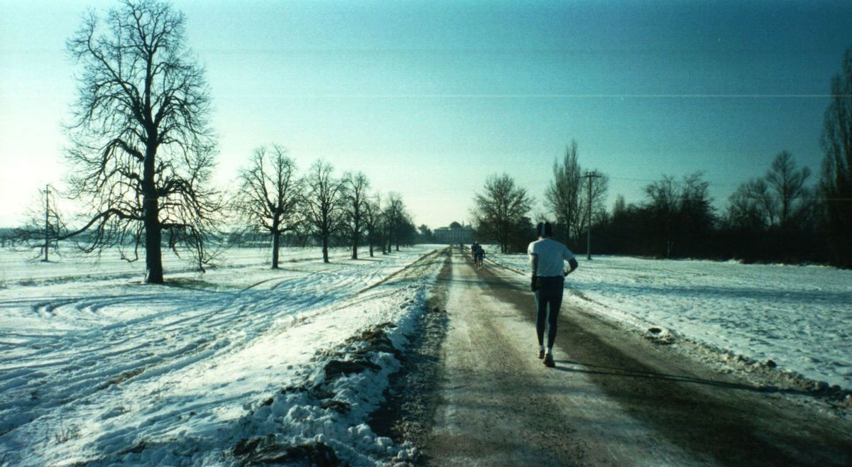 Un'immagine della camapagna innevata attorno a Reggio Emilia (dicembre 2001)