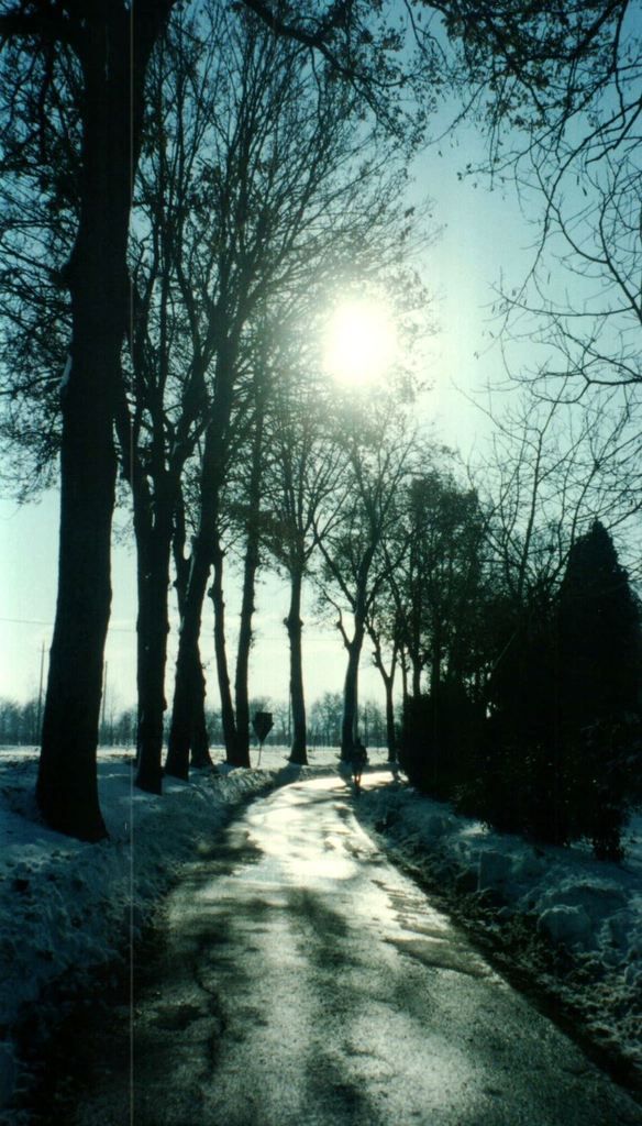 Maratona di Reggio Emilia Dicembre 2001