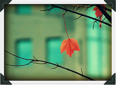 La langue peut commettre la fornication