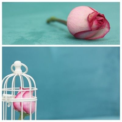 S'abstenir de se marier pour achever sa mémorisation du Coran