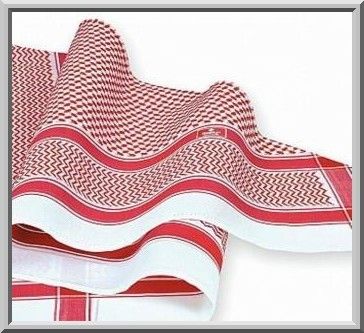 Biographie de Cheikh Sa'ad Al-Huçeîn - الشيخ سعد بن الحصين