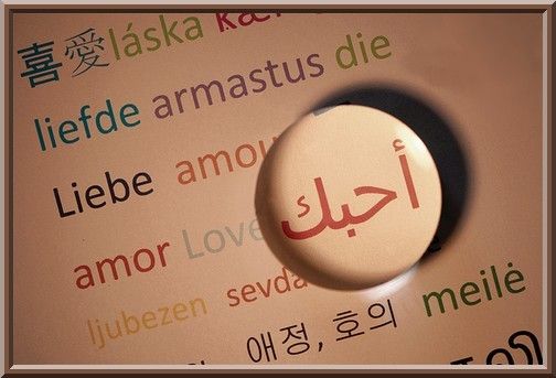 Le Mariage Est Une Obligation Et Non Une Sunna Audio Video La Science Legiferee العلم الشرعي