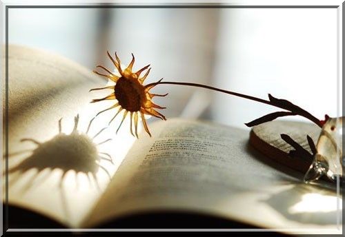 Certains étudiants en sciences sont plus indifférents que les bédouins... !