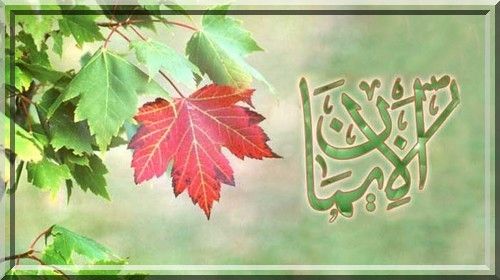 La différence entre le muslim et le croyant (audio)