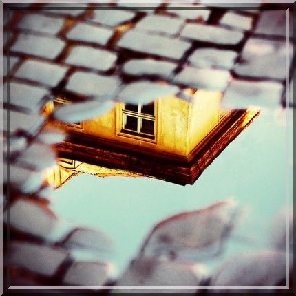 Comment une femme peut-elle concilier le fait qu'elle s'occupe de sa maison, la lecture du Coran et l'apprentissage de la science ? (audio)