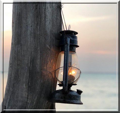 Celui qui dit que Cheikh Rabi' ibn Hadi Al Madkhali diffame les macheikh, les savants et les prêcheurs